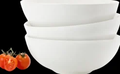 Arabia Syva Lautanen 24H 16Cm