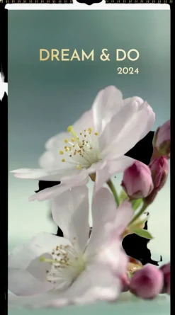Burde Seinakalenteri 2024 Dream & Do