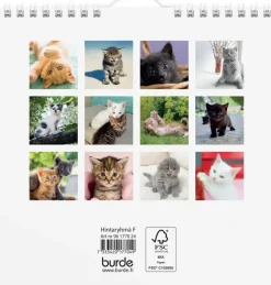 Burde Seinakalenteri 2024 Kissanpennut