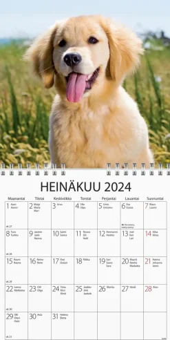 Burde Seinakalenteri 2024 Koiranpennut