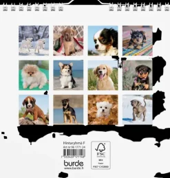 Burde Seinakalenteri 2024 Koiranpennut