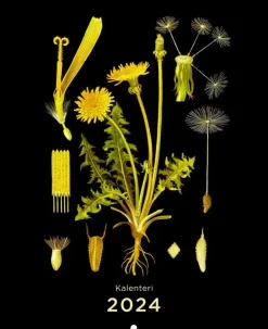 Ebba Masalin Seinakalenteri 2024