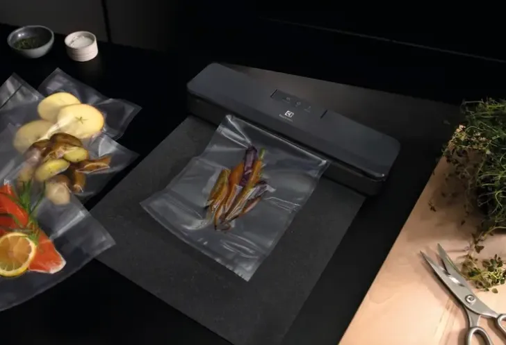 Electrolux Vakuumilaite E4Vs1-4Ag