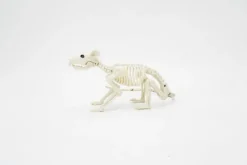 Halloween-Poytakoriste Hiiren Luuranko 38 Cm