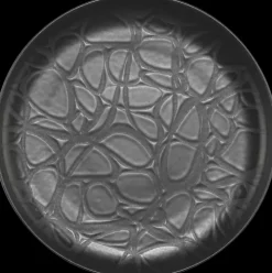 House Lautanen Capri 27 Cm