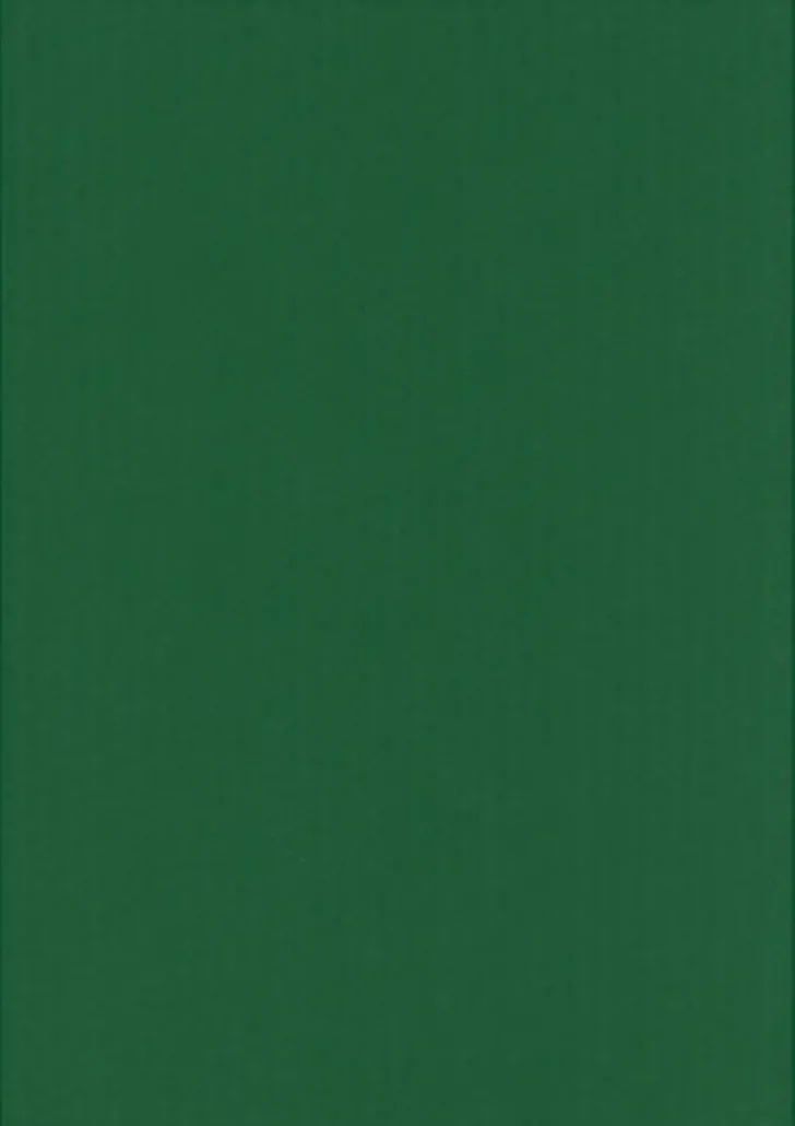 Karto Kartonki A4 220Gsm Ruohon Vihrea 5Ark/Pss