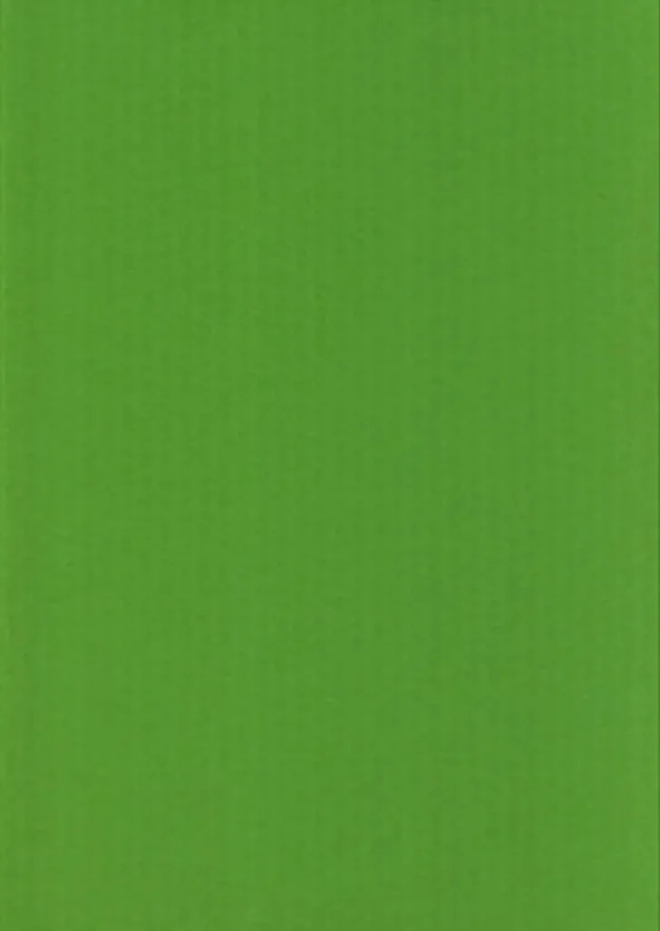 Karto Kortti Kirkkaan Vihrea 10X15Cm 220Gsm 10Kpl/Pkt