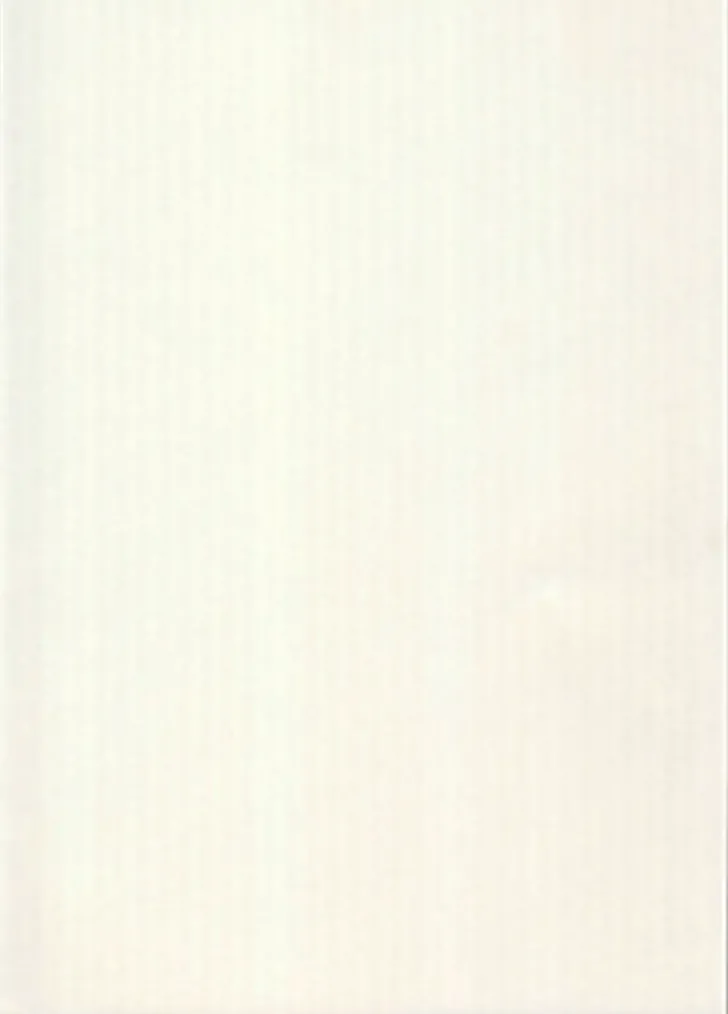 Karto Kortti Luonnonvalkoinen 10X15Cm 220Gsm 10Kpl/Pkt