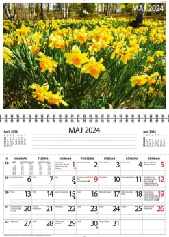 Seinakalenteri Mappkalendern