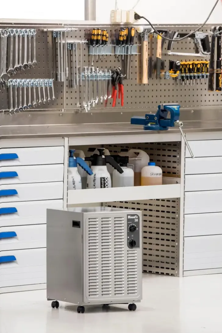 Wood'S Sw38Fm Kosteudenpoistaja Kellariin Yli 100M2